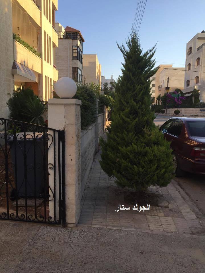 مشروع الأشجار الأصيلة في الأردن