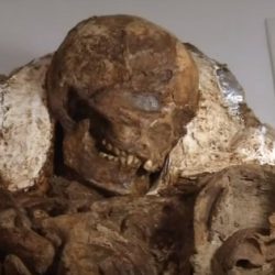 العثور على هيكل عظمي لأم تحتضن رضيعها منذ 4800 عام في تايوان