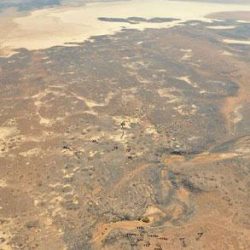 فن  النقوش الحجرية: الصحراء السوداء الأردنية تكشف الحياة الحيوانية في العصر الحجري الحديث