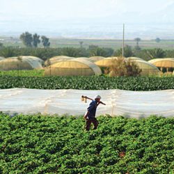 jordan-water-agriculture
