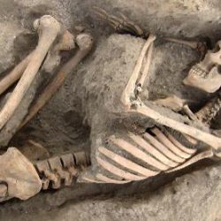 ممارسات الدفن عند مجتمعات وادي فينان في العصر الحجري الحديث