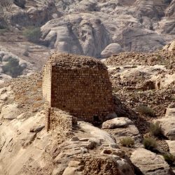 خبير إيطالي يحول موقع “الوعيرة” إلى مختبر آثاري