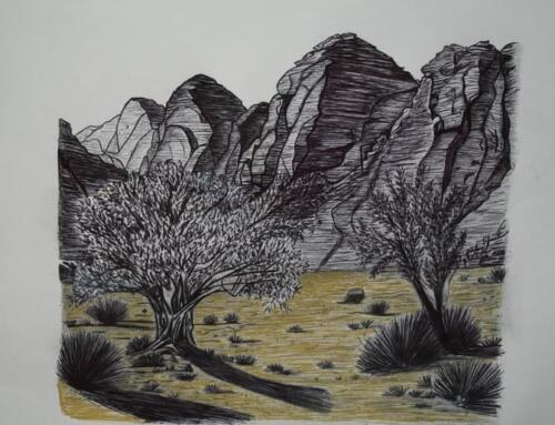 إدراج شجرة زيتون “المهراس” على القائمة التمثيلية للتراث الثقافي غير المادي لدى اليونسكو